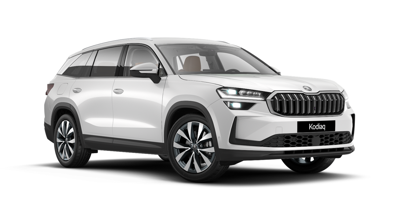 Skoda Kodiaq Renkli Emniyet Kemeri