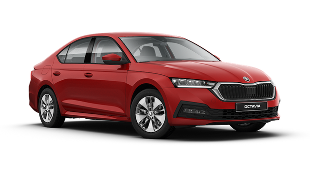 Skoda Octavia Renkli Emniyet Kemeri